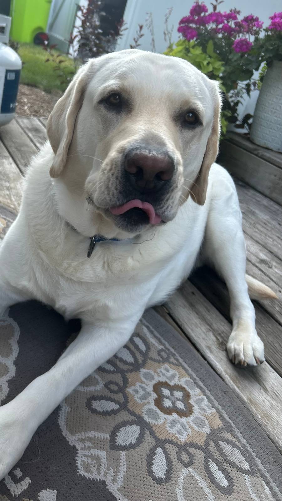 Jasper